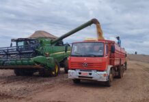 Paraná desponta como novo polo de etanol de milho com salto de 71% na produção
