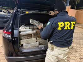 PRF apreende veículo furtado em SP com 350 quilos de maconha na BR-369