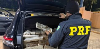 PRF apreende veículo furtado em SP com 350 quilos de maconha na BR-369