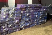 PCPR apreende mais de 2 toneladas de maconha e prende cinco pessoas no Noroeste