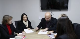 Comissão de Defesa dos Direitos da Mulher aprova projetos contra violência de gênero e feminicídio