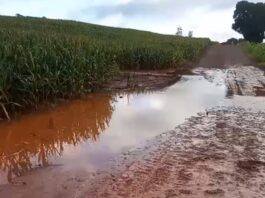 CHUVAS CAUSAM ESTRAGOS EM ESTRADAS RURAIS E MOBILIZAM FORÇA-TAREFA DA PREFEITURA DE ENGENHEIRO BELTRÃO