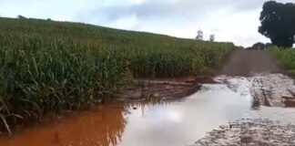 CHUVAS CAUSAM ESTRAGOS EM ESTRADAS RURAIS E MOBILIZAM FORÇA-TAREFA DA PREFEITURA DE ENGENHEIRO BELTRÃO