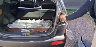Durante atendimento de acidente, PRF apreende 212 quilos de maconha