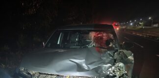 Homem morre atropelado na rodovia PR-317, em Engenheiro Beltrão