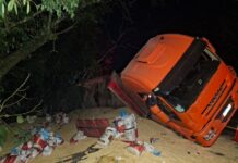 Dois tombamentos de caminhões com derramamento de carga são registrados na PRC-487