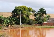 Corpo de ex-servidor público desaparecido é localizado em lago de Fênix