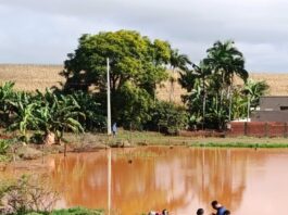 Corpo de ex-servidor público desaparecido é localizado em lago de Fênix