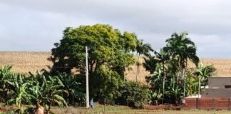 Corpo de ex-servidor público desaparecido é localizado em lago de Fênix