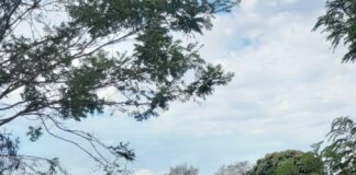 TRILHA É PREPARADA PARA A 11ª CAMINHADA NA NATUREZA NO DOMINGO