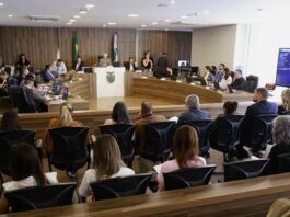 CCJ aprova programa de proteção a crianças vítimas de violência sexual