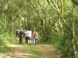 Peabiru promove neste domingo a II Caminhada São Vicente de Paulo