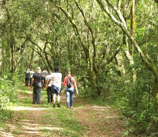 Peabiru promove neste domingo a II Caminhada São Vicente de Paulo