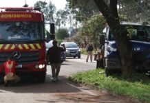 Caminhão bate em árvore após colisão e motorista fica ferido em Campo Mourão