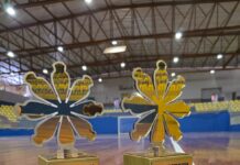 Terra Boa conquista títulos e garante vagas na fase final do 6º Paraná Bom de Bola