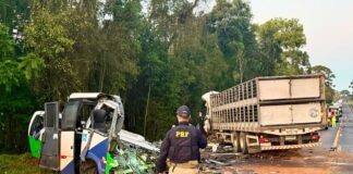 Colisão frontal entre ônibus e caminhão deixa 23 mortos na BR-373, em Ipiranga