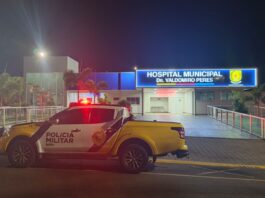 Motorista fica ferido em acidente com caminhonete na PR-082, em Terra Boa