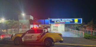 Motorista fica ferido em acidente com caminhonete na PR-082, em Terra Boa