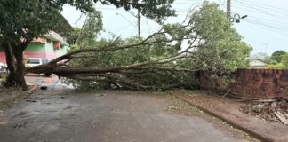 PREFEITURA MANTÉM FORÇA-TAREFA PARA RECUPERAR DANOS CAUSADOS POR TEMPORAL