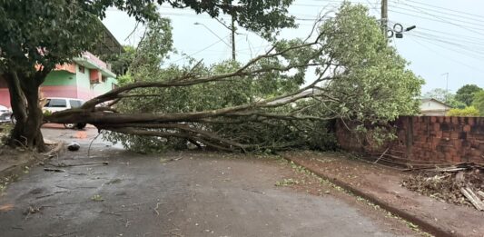 Copel mantém mais de 225 equipes mobilizadas para restabelecer energia após temporais no Noroeste do Paraná