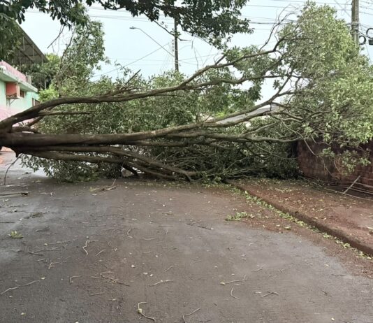 PREFEITURA MANTÉM FORÇA-TAREFA PARA RECUPERAR DANOS CAUSADOS POR TEMPORAL