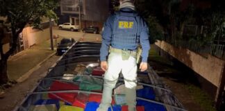 PRF apreende quase 7 toneladas de maconha em carreta, a maior do ano, em Apucarana
