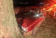 Veículo bate em árvore e deixa motorista ferido, em Itambé