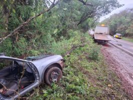 Veículo cai em ribanceira e deixa motorista ferido na PR-487