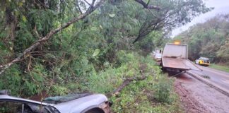 Veículo cai em ribanceira e deixa motorista ferido na PR-487
