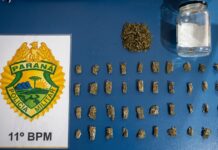 PM prende homem por tráfico de drogas em Ivailândia