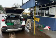 PRF intercepta SUV em praça de pedágio da BR-369 e apreende mais de meia tonelada de maconha